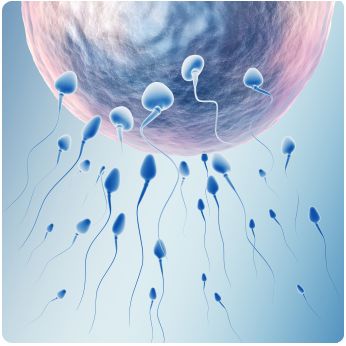 Male Factor Infertility